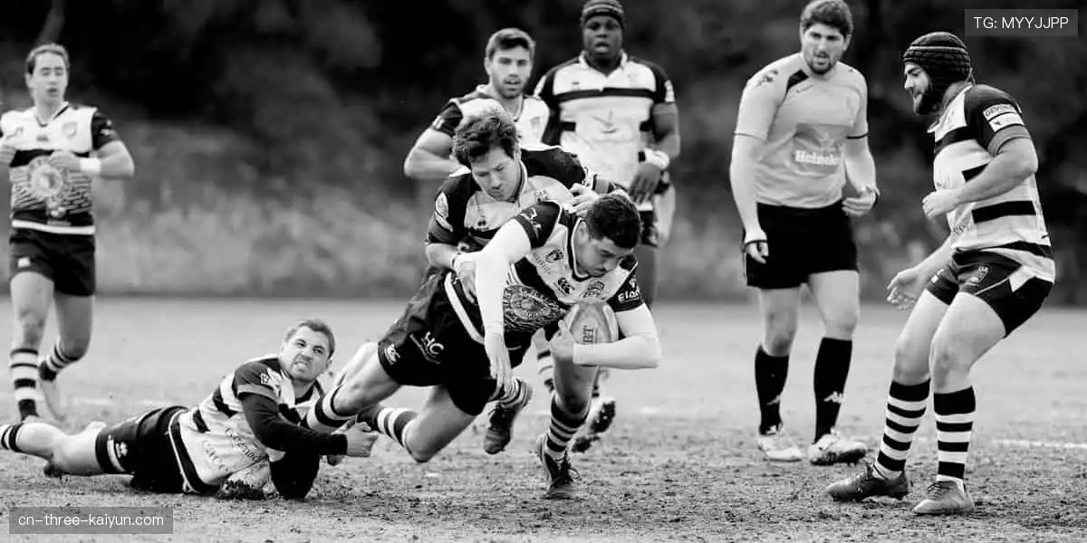 🎁 热爱永不缺席！官方正品周边，把偶像的力量穿在身上，握在手里！